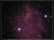 Pelican Nebula (IC5070) - 2013/05/14