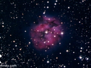 featured_image_cocoon_nebula_1200x630
