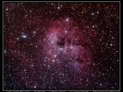NGC2175 - Open Cluster - 2019/01/09