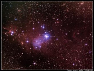 NGC2264 - Cone Nebula & Christmas Tree Cluster - 2015/03/11